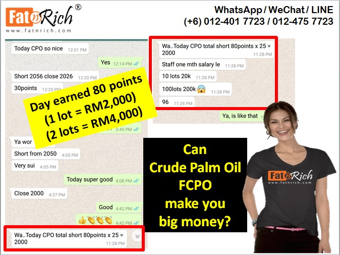 Crude Palm Oil FCPO